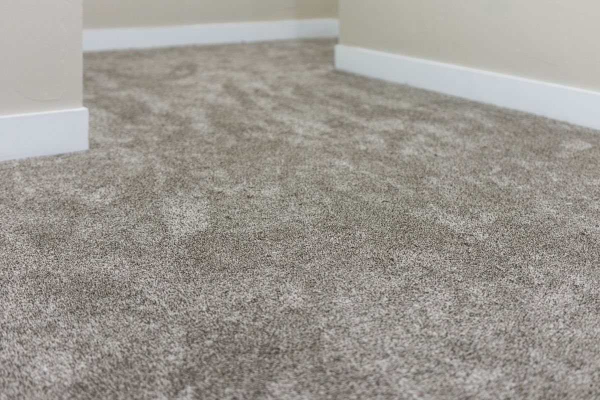 New warm grey carpet